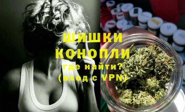 гидропоника Богданович