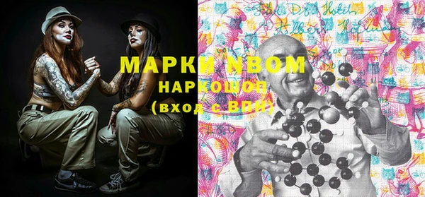 шишки Богородицк