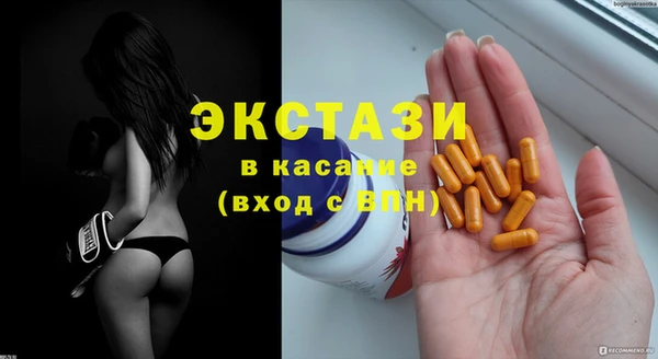 шишки Богородицк