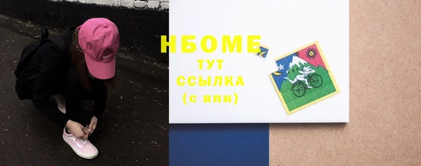 шишки Богородицк