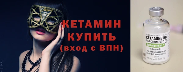 шишки Богородицк