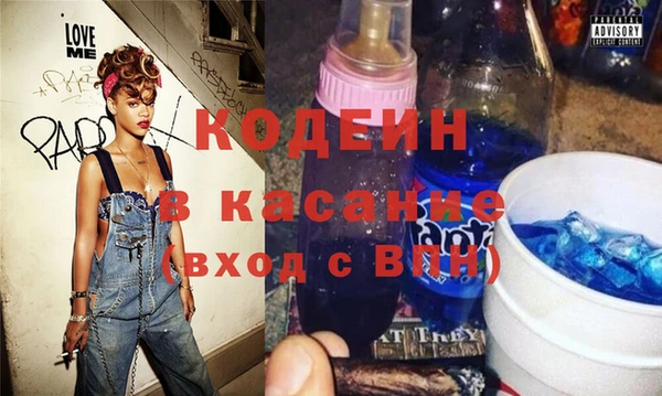 шишки Богородицк