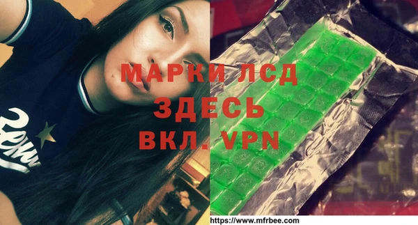 шишки Богородицк