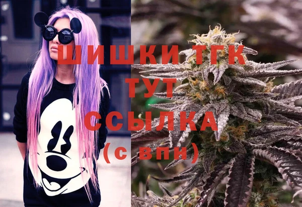 шишки Богородицк