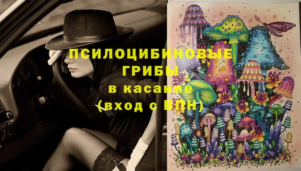 гидропоника Богданович