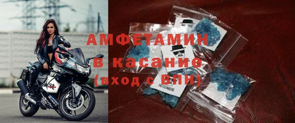 шишки Богородицк
