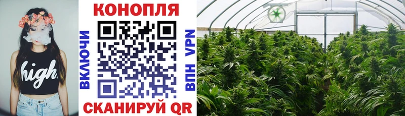 Каннабис White Widow  где купить наркоту  Новый Уренгой 